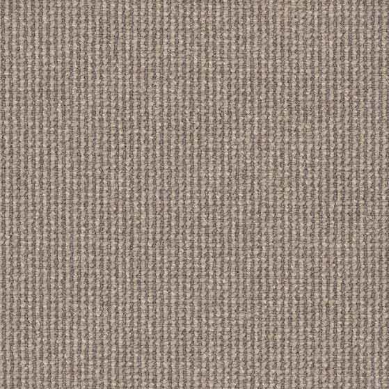 Avenue Colour: Ashbourne carpet Sunshine Coast