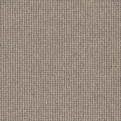 Avenue Colour: Ashbourne carpet Sunshine Coast