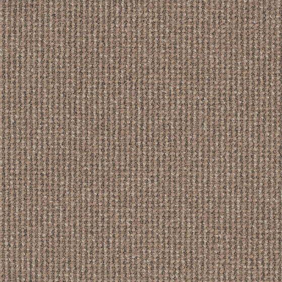Avenue Colour: Sherwood carpet Sunshine Coast