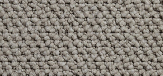 Cortino Colour: Custard Cream carpet Sunshine Coast