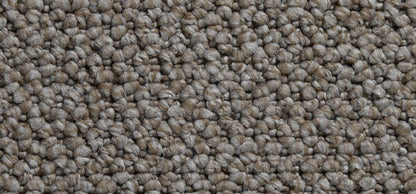 Cortino Colour: Custard Cream carpet Sunshine Coast
