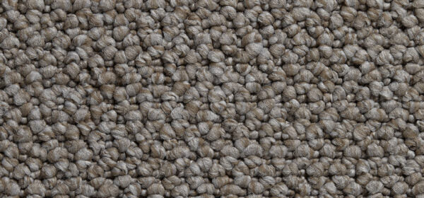 Cortino Colour: Custard Cream carpet Sunshine Coast
