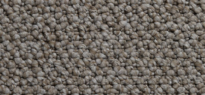 Cortino Colour: Custard Cream carpet Sunshine Coast