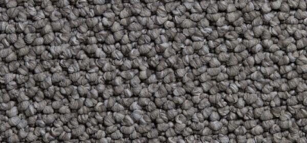 Cortino Colour: Custard Cream carpet Sunshine Coast