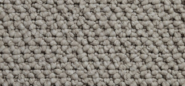Cortino Colour: Custard Cream carpet Sunshine Coast