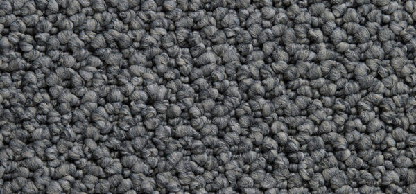 Cortino Colour: Dragonfly carpet Sunshine Coast