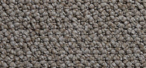 Cortino Colour: Hayloft carpet Sunshine Coast