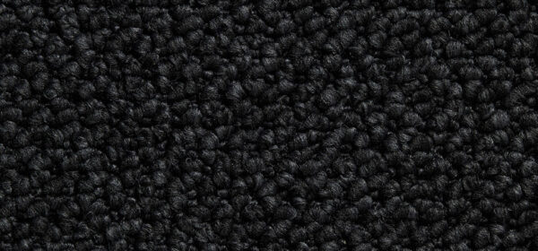 Cortino Colour: Odyssey carpet Sunshine Coast