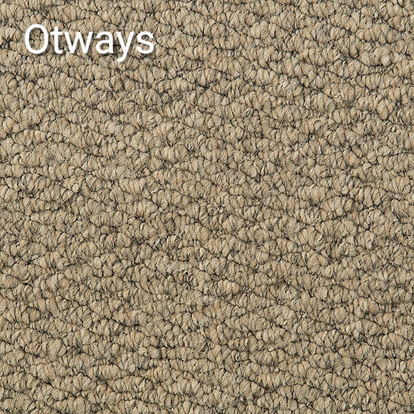 Eureka Colour: Apostle carpet Sunshine Coast