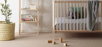 Everest Colour: Gesso carpet Sunshine Coast