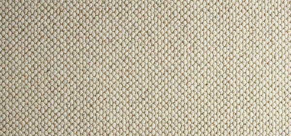 Everest Colour: Gesso carpet Sunshine Coast