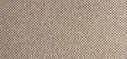 Everest Colour: Gesso carpet Sunshine Coast