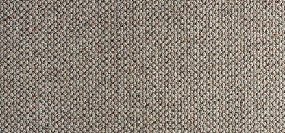 Everest Colour: Gesso carpet Sunshine Coast