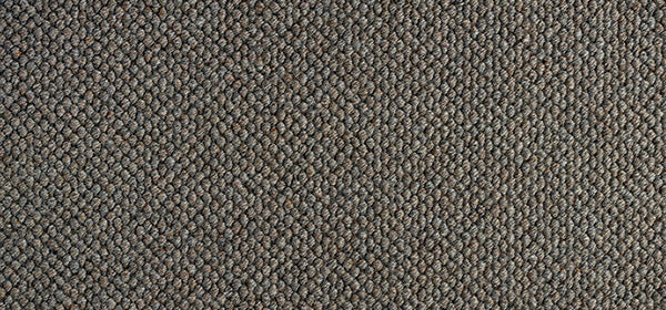 Everest Colour: Peppercorn carpet Sunshine Coast