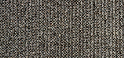 Everest Colour: Peppercorn carpet Sunshine Coast