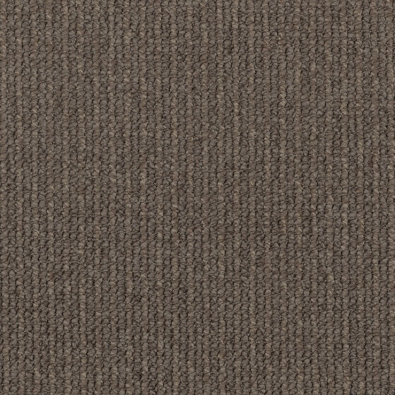 Orchard Colour: Ambrosia carpet Sunshine Coast