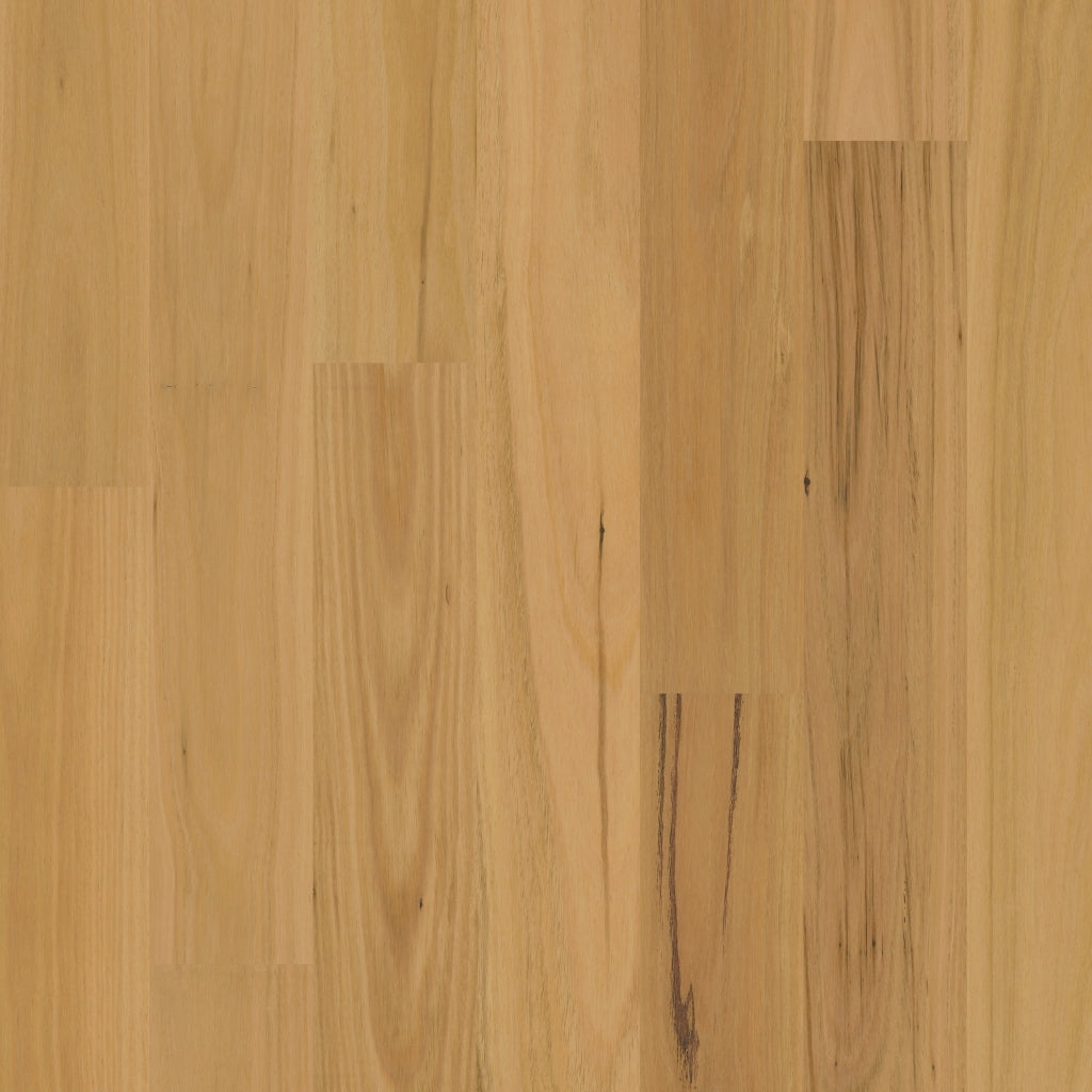 ReadyFlor Range Colour: Brushed Blackbutt 1 Strip Matt timber flooring Sunshine Coast