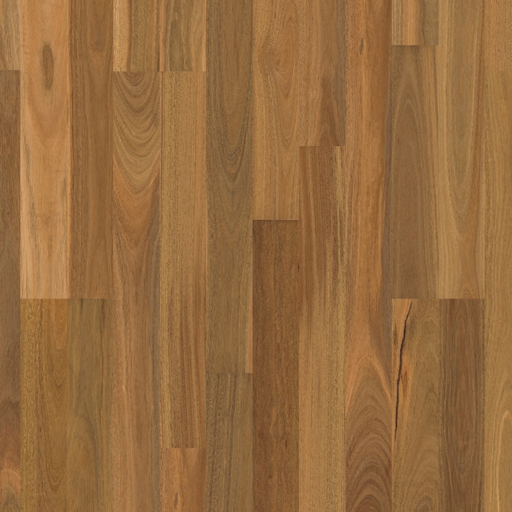 ReadyFlor Range Colour: Spotted Gum 2 Strip High Sheen timber flooring Sunshine Coast