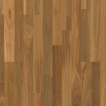 ReadyFlor Range Colour: Spotted Gum 2 Strip High Sheen timber flooring Sunshine Coast